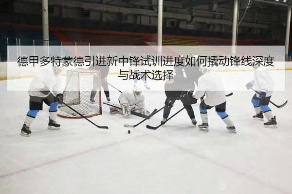 德甲多特蒙德引进新中锋试训进度如何撬动锋线深度与战术选择